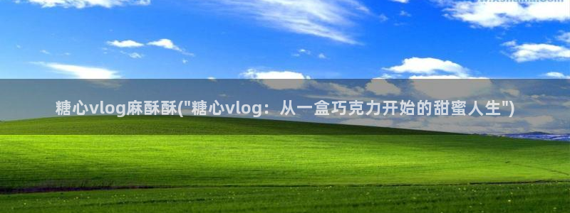 糖心vllog