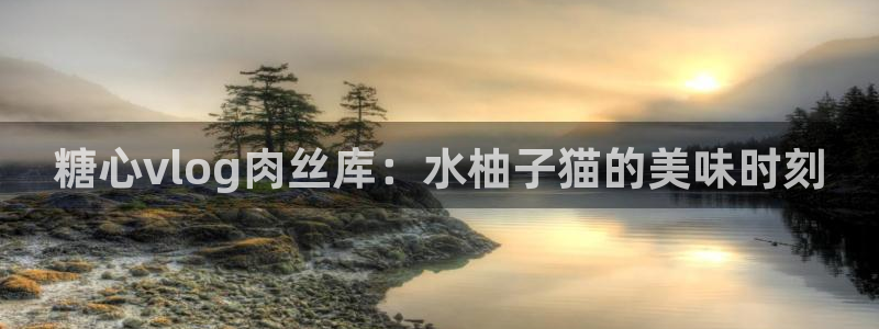 糖心vlgo女演员排行榜