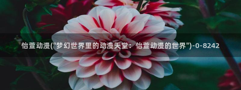 动漫小说