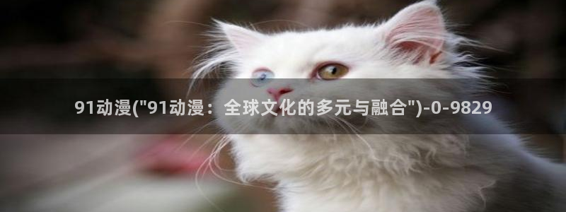 动漫游戏
